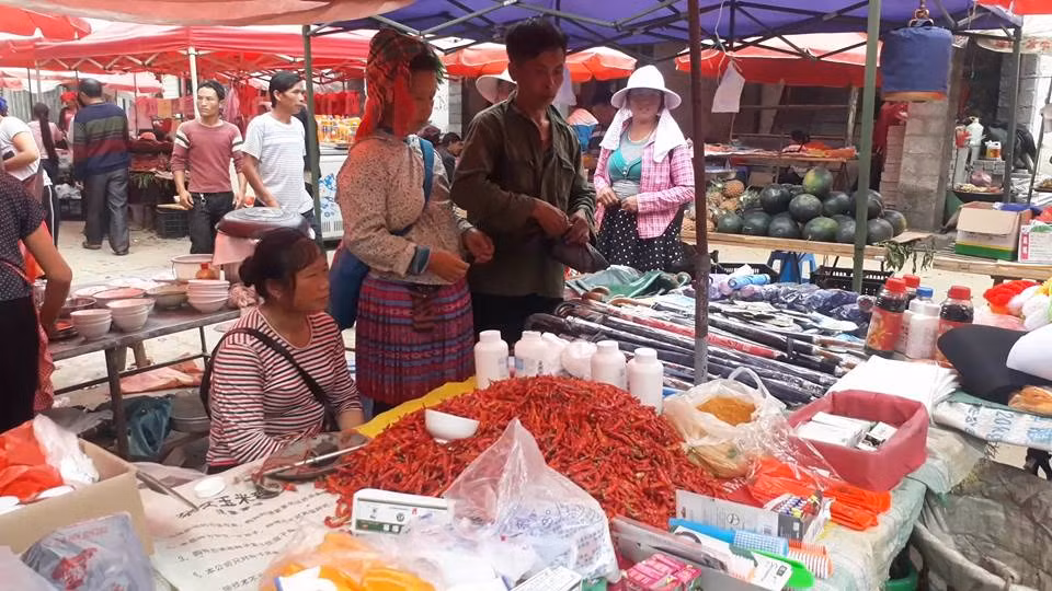 Ngoài tiềm năng du lịch sinh thái hay nghỉ mát, du khách đến du lịch Sìn Hồ còn có cơ hội thưởng thức các món ăn nổi tiếng địa phương mang phong vị của núi rừng như dê hấp, cá suối, thịt trâu cuốn lá lốt, rau dớn xào tỏi, thắng cố ngựa… cùng món cá hồi đặc sản xứ lạnh được nuôi thành công tại địa phương. Hy vọng trong tương lai gần, du lịch Sìn Hồ không chỉ dừng lại ở vẻ đẹp tiềm ẩn mà được phát triển hợp lý, đem lại nhiều điều thú vị cho du khách mỗi khi đặt chân đến trải nghiệm.