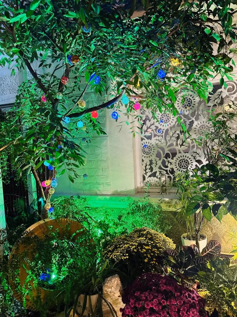 Co ngoi do so cua ca si Vy Oanh-Hinh-14