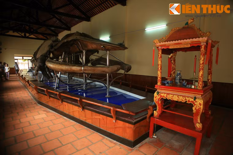 Đặc biệt, dinh Vạn Thủy Tú đang lưu giữ bộ xương cá voi được coi là lớn nhất Việt Nam. Bộ xương này có tuổi đời hơn 2 thế kỷ, gắn với lịch sử ra đời của dinh.