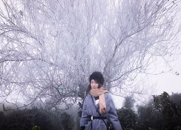 Với độ cao gần 2.000m so với mặt nước biển, Tà Xùa trong những ngày giá rét kỷ lục vừa qua vẫn đang tiếp tục xuất hiện băng tuyết phủ kín cả núi rừng. Mặc dù sương mù và giá rét nơi rẻo cao ở thời điểm này rất khắc nghiệt nhưng vẫn không cản nổi bước chân của từng đoàn du khách tấp nập kéo đến Tà Xùa để trực tiếp chiêm ngưỡng vẻ đẹp, lung linh huyền ảo của băng tuyết đang phủ trắng xóa cả một khu rừng rộng mênh mông...