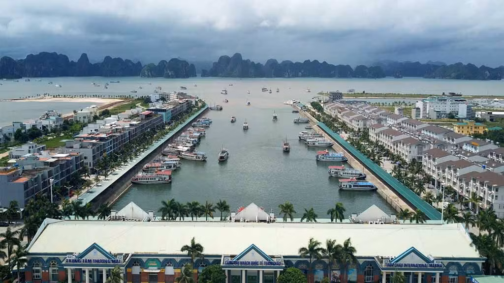 Quang Ninh: Soi loat du an Tap doan Tuan Chau bi thanh tra