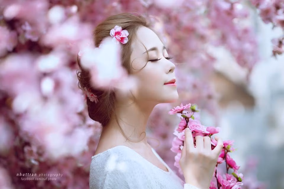 Ngắm vẻ đẹp dịu dàng, tinh tế của Hà Phương trong bộ ảnh hoa anh đào luôn gợi nhiều cảm xúc. Ảnh: Nhuttran.