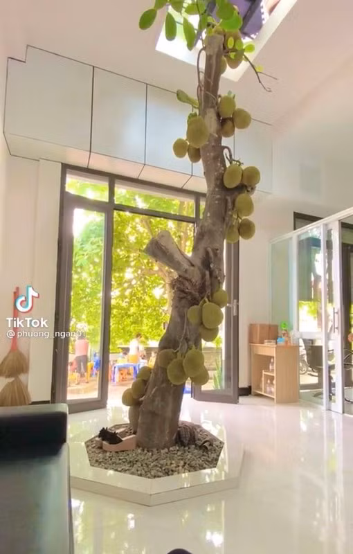 Thậm chí, vì quá khó tin mà không ít cư dân mạng đã bình luận cho rằng hình ảnh kia "ghép ảnh lộ quá, nhưng mà nhìn vẫn khoái".