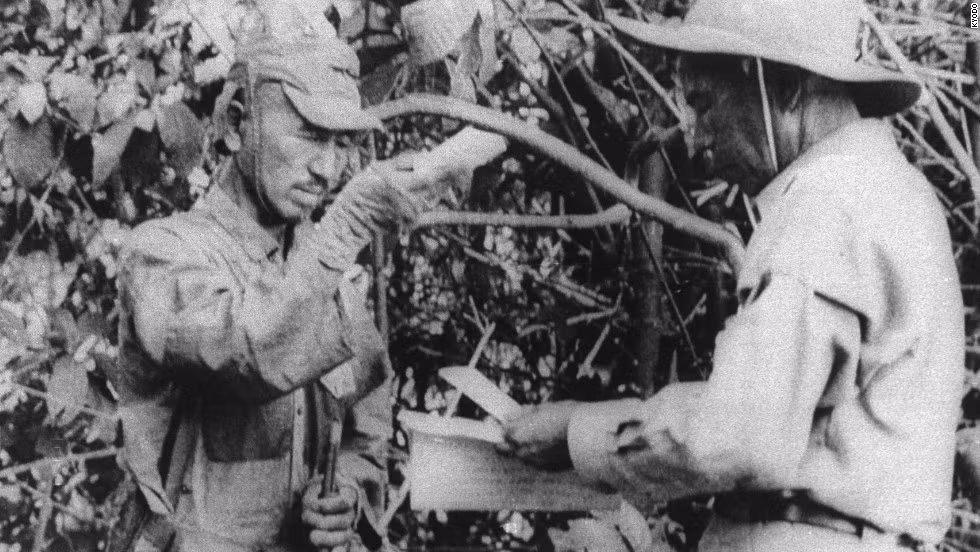 Đầu tháng 2/1974, một du khách Nhật Bản khi đang thám hiểm trên đảo Lubang ở Philippines bất ngờ phát hiện ra một người lính Nhật còn sống sót từ Đại chiến Thế giới lần thứ hai – trung úy Hiroo Onoda.