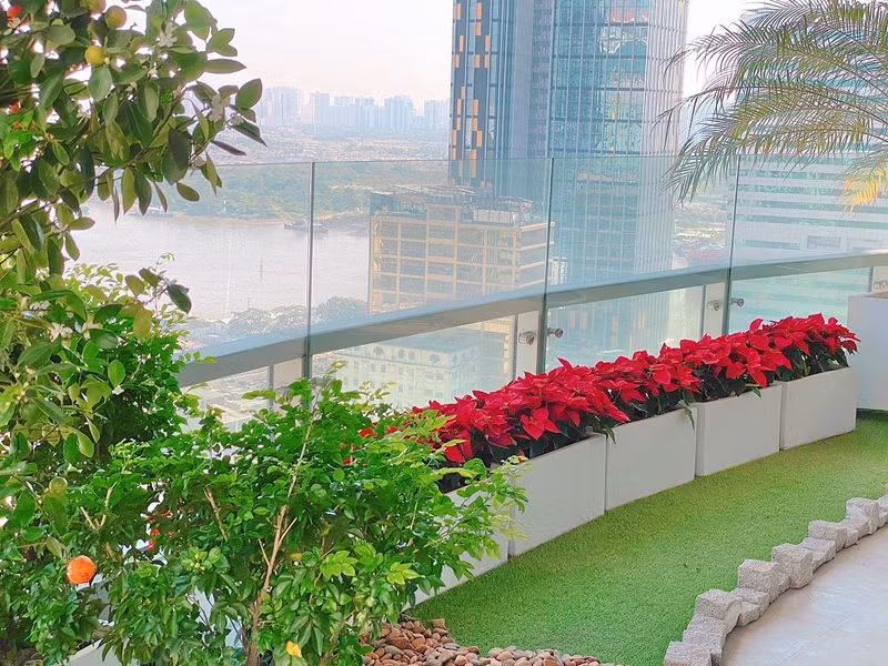 Thu Thảo dành nhiều thời gian chăm chút cho khu vườn trên tầng thượng. Ảnh: Instagram Thu Thảo.