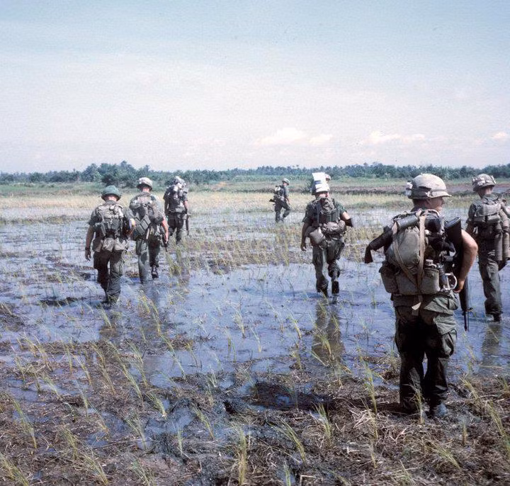 Có thể thấy, những thứ rất quen thuộc với người dân Việt Nam như cánh đồng ruộng cũng trở thành rào cản "oái oăm" cho cuộc viễn chinh của quân đội Mỹ trên đất nước nhỏ bé này. Nguồn ảnh: Pinterest..