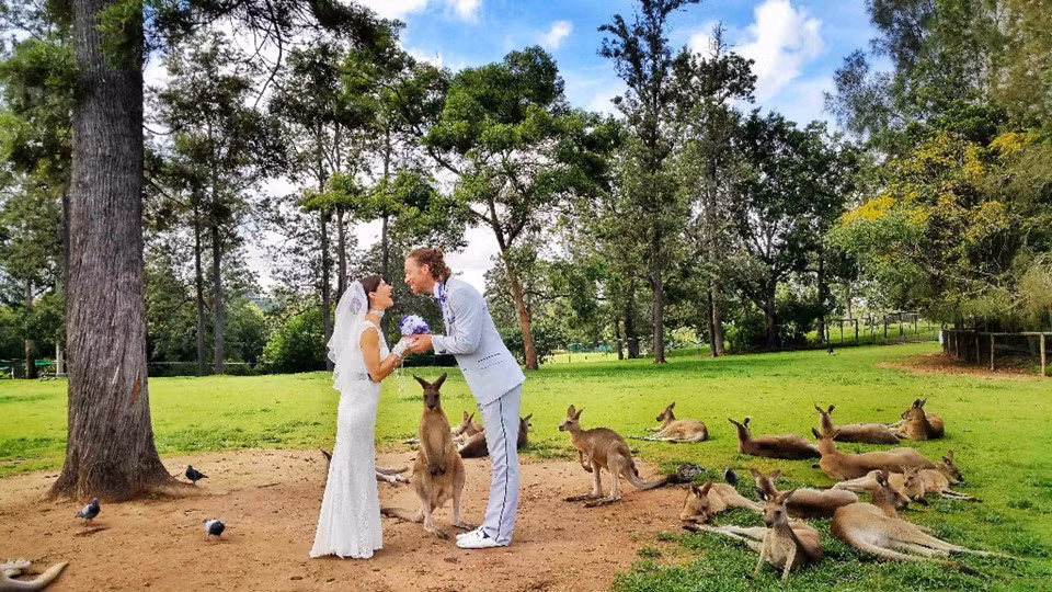 Họ còn trao nhau lời hẹn ước tại Australia, xung quanh là những chú kangaroo biểu tượng của quốc gia châu Đại Dương. Theo Cheetah, lợi ích của việc tổ chức đám cưới nhiều lần là họ lúc nào cũng có cảm giác như cặp đôi mới cưới mặc dù đám cưới không hoàn hảo.