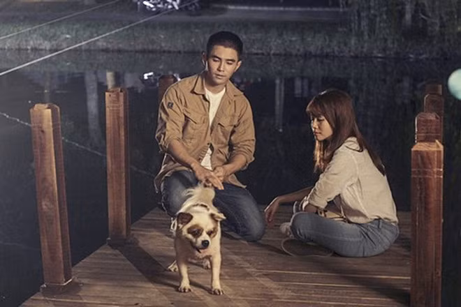 Trong Chờ em đến ngày mai (Trấn Thành và An Nguy đóng chính), Will chỉ là tuyến nhân vật phụ, song vẫn gây chú ý nhờ lối diễn xuất tự nhiên. Không ít ý kiến cho rằng Will góp phần nâng diễn xuất của An Nguy. Trong phim, Will đóng vai một tên trộm cắp vặt, sau đó vô tình bị An Nguy biến thành chó. Cựu thành viên nhóm 365 từng bày tỏ việc lồng tiếng và tương tác với chú chó trong những cảnh quay không đơn giản.