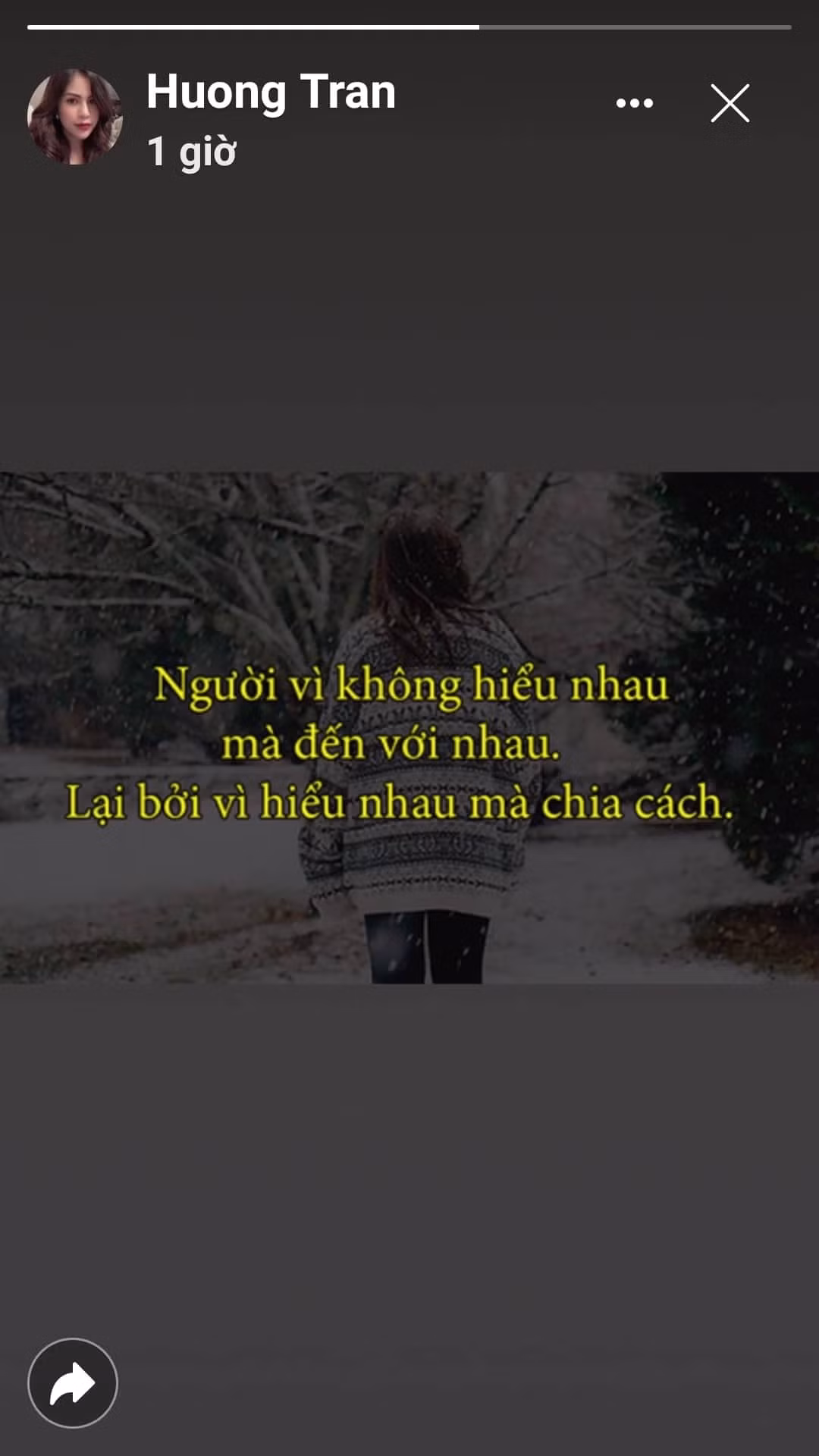 Vo cu Viet Anh phat ngon “soc” khi cap Song - Song ly hon-Hinh-2