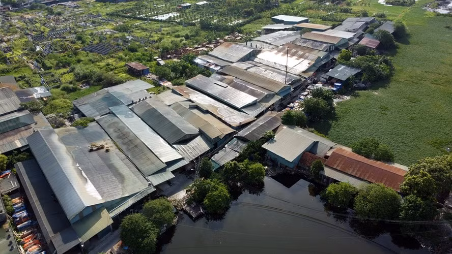 Bí thư Thành ủy Hà Nội chỉ đạo làm rõ khu nhà xưởng “mọc” trên đất nông nghiệp ở Trũng Phan Bi thu Thanh uy Ha Noi chi dao lam ro khu nha xuong “moc” tren dat nong nghiep o Trung Phan