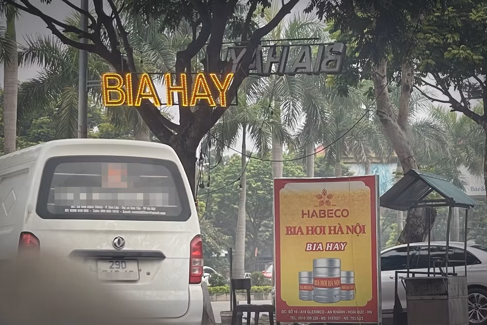 Cây xanh dọc vỉa hè tuyến đường này còn bị các quán bia xâm hại, quấn đèn điện trang trí xung quanh, trở thành giá treo biển quảng cáo bất đắc dĩ.