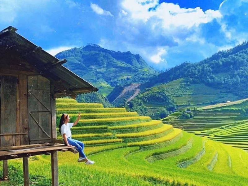 Mù Cang Chải mùa lúa chín và hoa tam giác mạch đang là điểm đến thu hút nhiều khách du lịch.