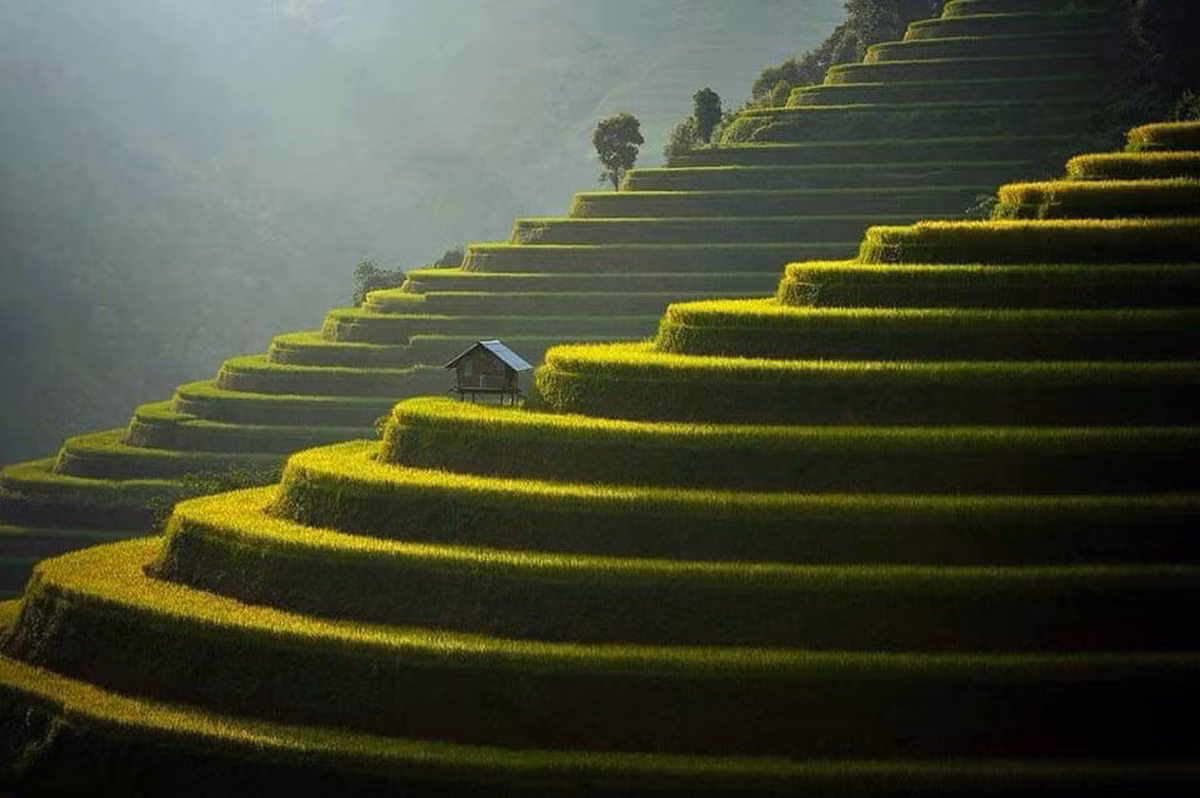 Mới đây Big 7 Travel (website nổi tiếng về du lịch hướng dẫn về các điểm đến hấp dẫn trên thế giới, những trải nghiệm phải thử) đã công bố danh sách 50 điểm đến đẹp nhất năm 2020. Trong số 50 điểm đến được Big 7 Travel công bố, Mù Cang Chải của (Yên Bái) xếp thứ 21.