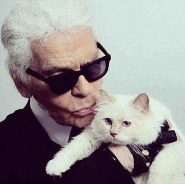 Choupette được ngủ trên giường, ăn trên bàn, tận hưởng những phút giây thư giãn bằng các chuyến du lịch, thậm chí còn sung sướng hơn một con người.