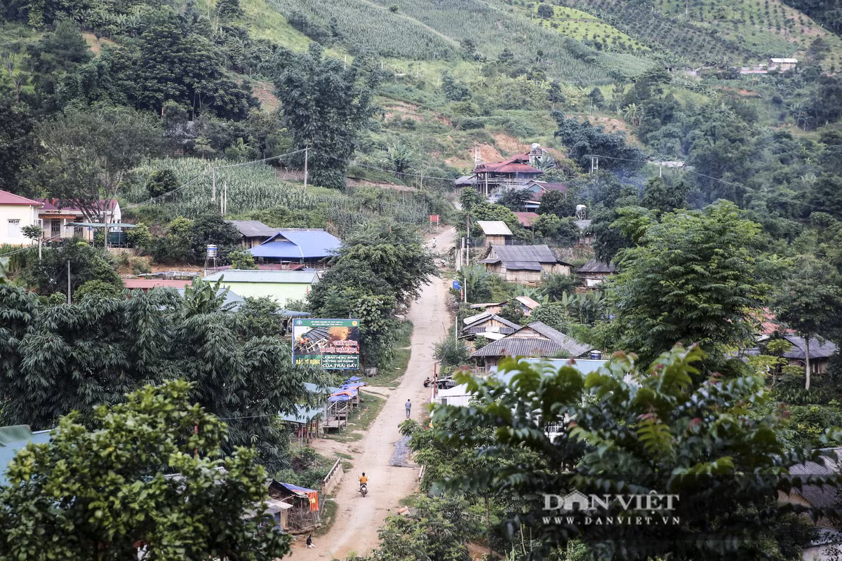 Từ Thành phố Sơn La, vượt qua hơn 70 km đường rừng núi, chúng tôi đến với xã nghèo vùng cao Long Hẹ trong tiết trời thu se lạnh. Thật bất ngờ, một xã nghèo vùng cao đặc biệt khó khăn (vùng 3) như Long Hẹ lại có một ngôi trường khang trang, hiện đại và an toàn như vậy.