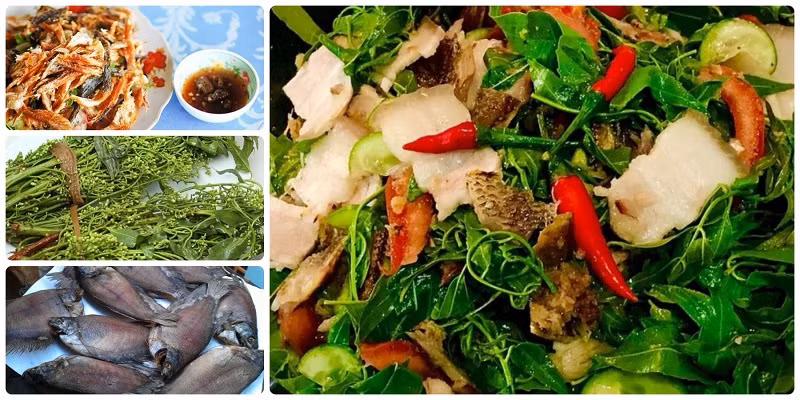 1. Gỏi sầu đâu (Tỉnh An Giang): Món gỏi này có các thành phần chính gồm lá sầu đâu trộn cùng thịt ba chỉ, tôm, khô cá lóc/cá sặc cùng dưa leo, xoài sống cùng một ít rau thơm, ngò rí, đậu phộng, và nước mắm tỏi ớt... tạo nên món gỏi sầu đâu đặc trưng nổi tiếng ở vùng đất này.