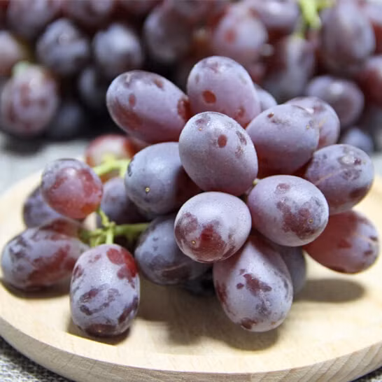 Nho đỏ không chỉ ngon mà còn cung cấp một loạt chất dinh dưỡng như vitamin C, flavonoid có tác dụng giảm viêm. Ảnh: vinfruits.