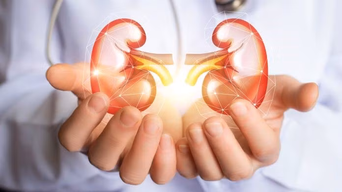Ở người bị thận mãn tính, thận bị suy thoái dần theo thời gian, sau đó mất chức năng vĩnh viễn và không có khả năng phục hồi. Ảnh: benhvien108.