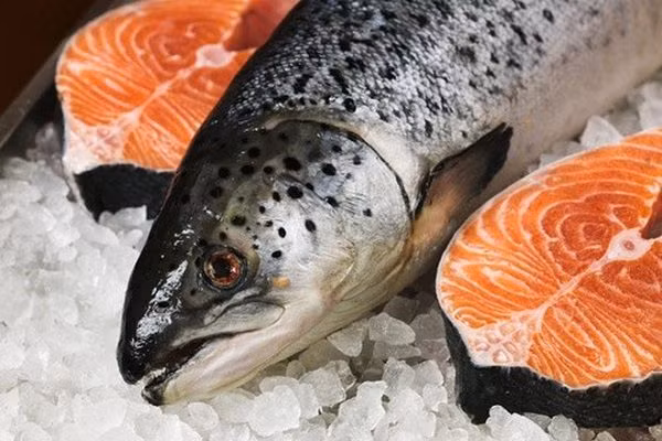 Các loại cá béo như cá hồi chứa nhiều axit béo omega-3 và protein, giúp giảm viêm, có thể góp phần giảm mụn trứng cá, giảm viêm từ bệnh vẩy nến. Ảnh: cahoangde.