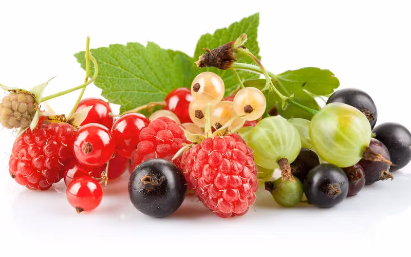 Các loại quả mọng cũng chứa một lượng lớn vitamin C, một chất dinh dưỡng quan trọng đóng vai trò trong việc sản xuất collagen giữ cho làn da săn chắc, duy trì sự đàn hồi. Ảnh: eothon.