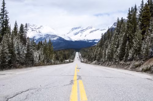 Đường cao tốc Alaska, Canada. Con đường này chạy qua rừng, nên các tài xế thường đối mặt với những con gấu nâu khổng lồ. Nhưng đổi lại, bạn có cơ hội chiêm ngưỡng phong cảnh hùng vĩ của núi và hồ nước ở nơi đây.