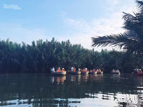 Nếu đi vào mùa dừa chín, bạn còn có thể chèo thuyền len lỏi qua những hàng dừa, tự tay hái những trái dừa nước để thưởng thức và đem về làm quà cho bạn bè, người thân.