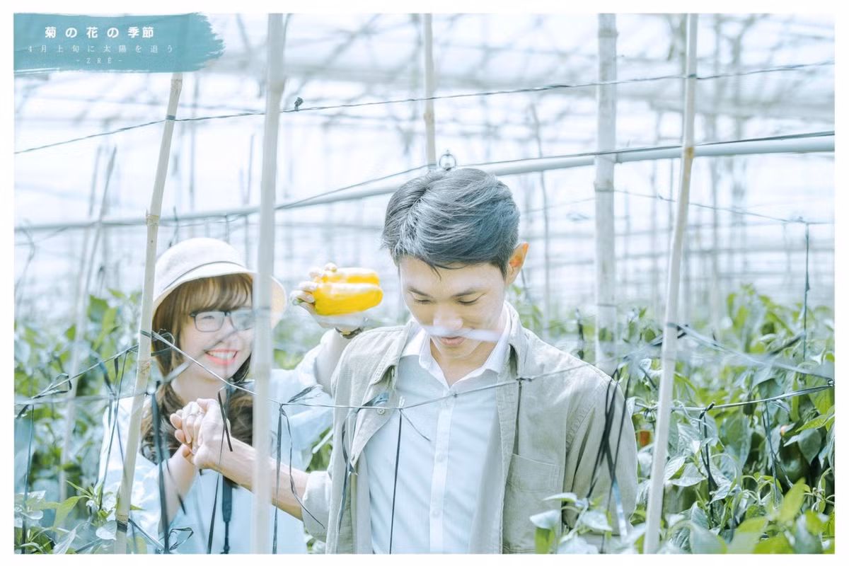 May mắn khi Thế Vinh gặp được người làm thuê tốt bụng, cho anh mượn hoa cúc để chụp ảnh, còn cắt hoa giúp anh, rồi cho mượn ghế, mượn giỏ... Sau khi chụp, chàng nhiếp ảnh gia có trả tiền hoa cũng như tiền công đã nhờ vả, nhưng người làm vườn lẫn vợ chồng chủ nhà lồng kiên quyết không nhận.