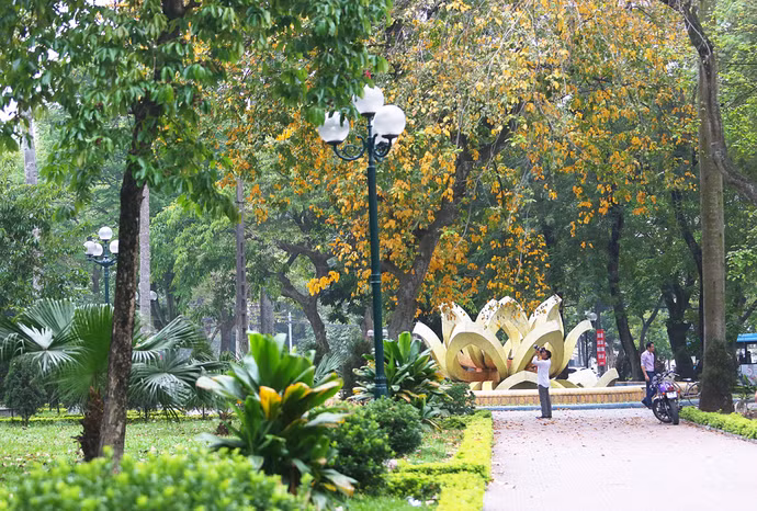 Tháng 4 về, phố phường thủ đô trải tấm thảm vàng óng, mùa của lá rụng, thời khắc chuyển giao từ xuân sang hè.