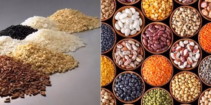 Vì vậy mà ngũ cốc nguyên hạt ngũ cốc đã được đề xuất thay cho ngũ cốc tinh chế như một biện pháp ngăn ngừa chóng mặt và các triệu chứng hạ đường huyết khác. Ảnh: dankhang.