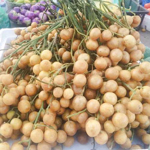 Để có cho ra được mẻ nước quất hồng bì ngon, không bị nổi váng thì bạn nên lựa chọn những quả quất hồng bì chín đồng đều, da căng bóng. Ảnh: googleapis.