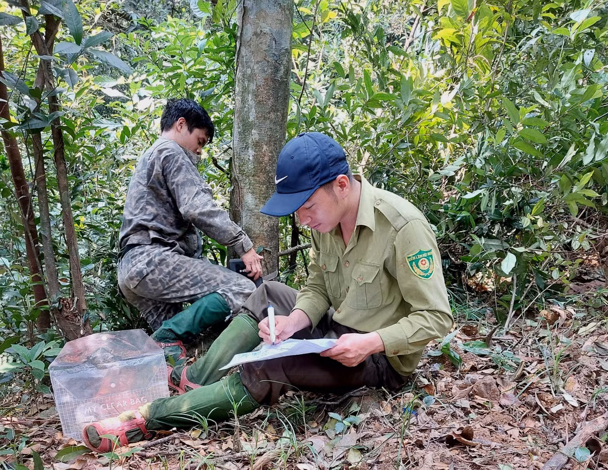 Các nhà nghiên cứu trong nước và thế giới cũng đã phát hiện, công bố hàng loạt loài thực vật mới có giá trị cao cho thế giới, như: chà ran tuyến, trà mi Vũ Quang, trà mi Hà Tĩnh, dẻ Vũ Quang, gừng Vũ Quang, tân bời lời Vũ Quang, xú hương Vũ Quang, xú hương Hà Tĩnh, mộc hương Vũ Quang...