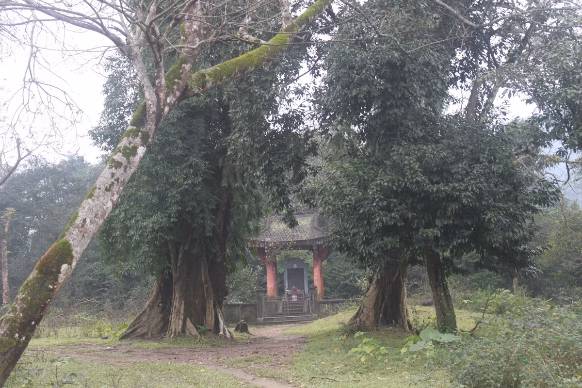 Không chỉ có tài nguyên thiên nhiên, hệ động thực vật đa dạng, phong phú, Vườn Quốc gia Vũ Quang còn là nơi ghi dấu chứng tích những chiến công oanh liệt của nhà yêu nước Phan Đình Phùng và nghĩa quân trong cuộc kháng chiến chống thực dân Pháp thời kỳ phong trào Cần Vương những năm cuối thế kỷ 19.