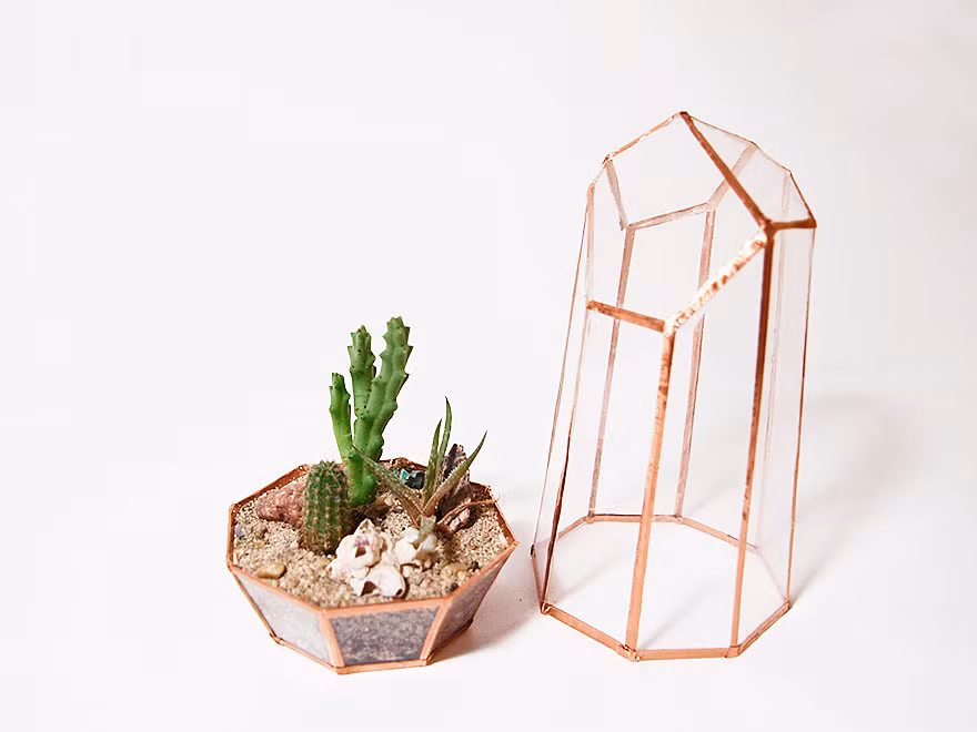 Chỉ mất chút ít thời gian những hiệu quả rất đáng kinh ngạc. Hãy lưu trữ cách làm nhà kính mini cực cool lại siêu đơn giản này ngay nếu như bạn có nhiều vỏ hộp đĩa CD cũ. (Nguồn Bored Panda)