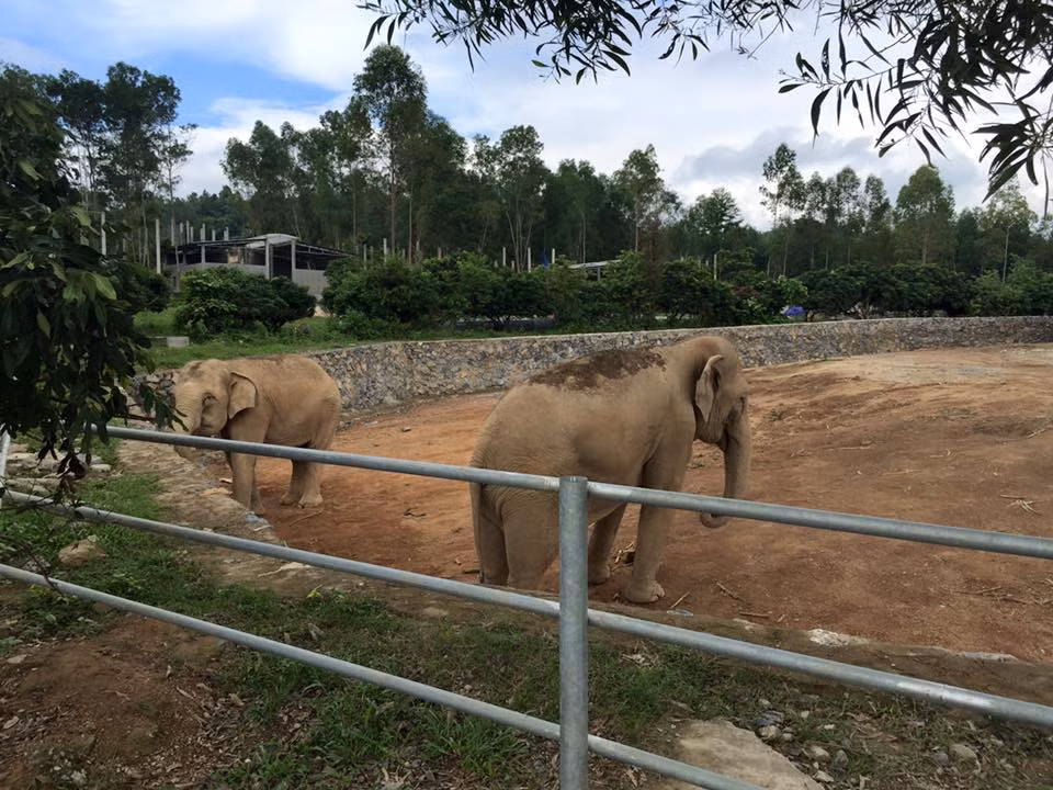 Khu du lịch sinh thái Trại Bò Mường Thanh (Diễn Châu, Nghệ An) là một vườn thú tư nhân nổi bật ở miền Trung Việt Nam. Nơi đây hiện nuôi nhốt 18 loài động vật quý hiếm, nhập từ nước ngoài về với hơn 100 cá thể. Trong đó có nhiều loài động vật quý hiếm như: hổ, tê giác, hà mã, bò tót, sư tử...
