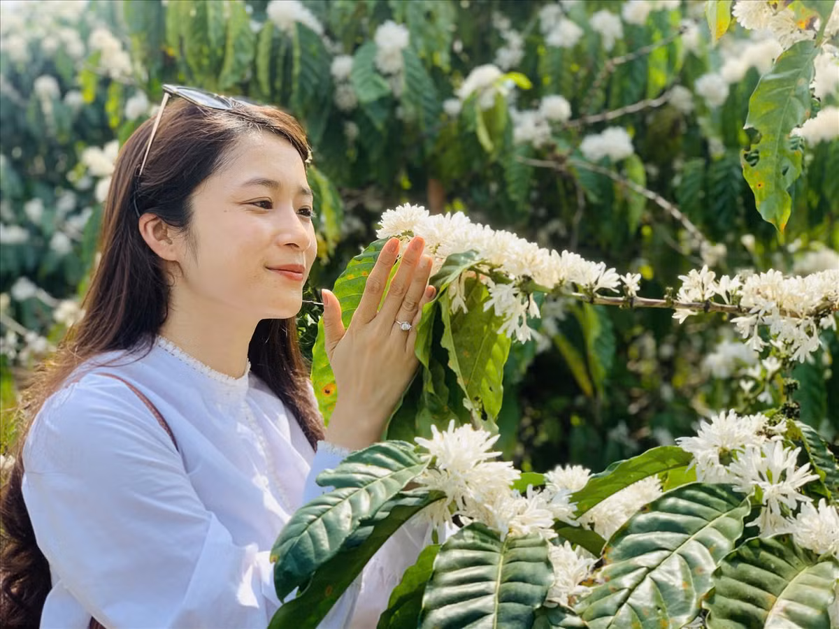 Các điểm ở Gia Lai: Ia Grai, Ia Pa, Krông Pa, Biển Hồ, đường đi tới núi lửa Chư Đăng Ya. Ảnh Internet