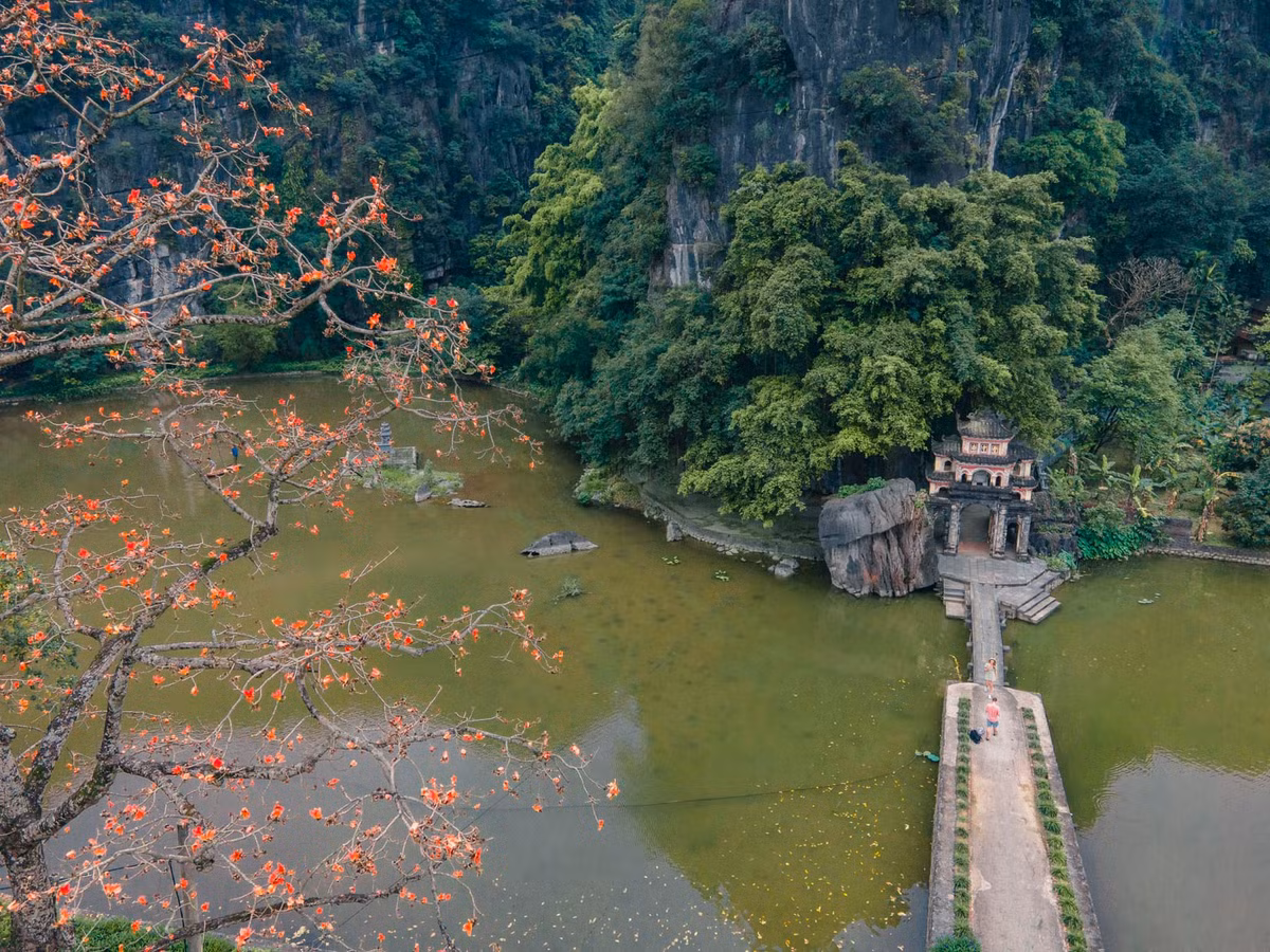 Mỗi mùa hoa mộc miên nở, sắc đỏ của hoa làm nổi bật vẻ cổ kính của chùa, thu hút nhiều du khách và phật tử đến chiêm bái, thưởng ngoạn.