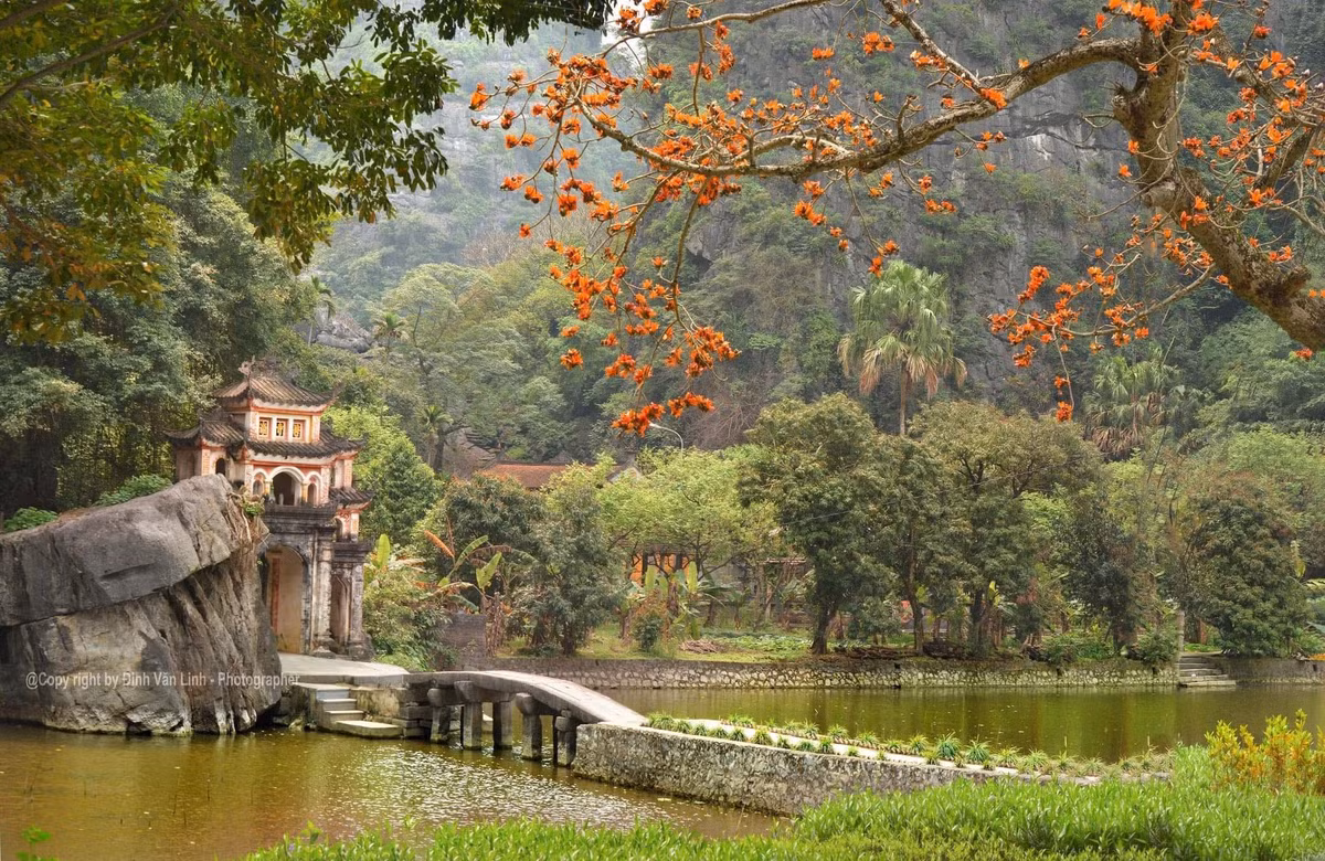Nằm nép mình giữa vùng đất linh thiêng Ninh Bình, chùa Bích Động được xây dựng từ thời Hậu Lê, với kiến trúc chùa trong hang động độc đáo. Ngôi chùa mang đậm dấu ấn thời gian, với những mái ngói rêu phong, hệ thống tượng Phật uy nghiêm và cảnh sắc thiên nhiên hùng vĩ.