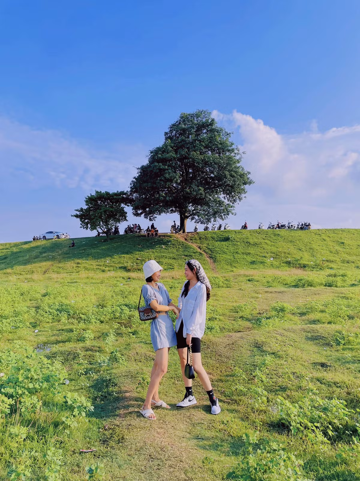 Để đến Cây Cô Đơn tại bờ đê Hữu Chấp, phường Hòa Long, TP Bắc Ninh, du khách có thể di chuyển bằng xe máy hoặc ô-tô theo hướng: Ảnh Internet
