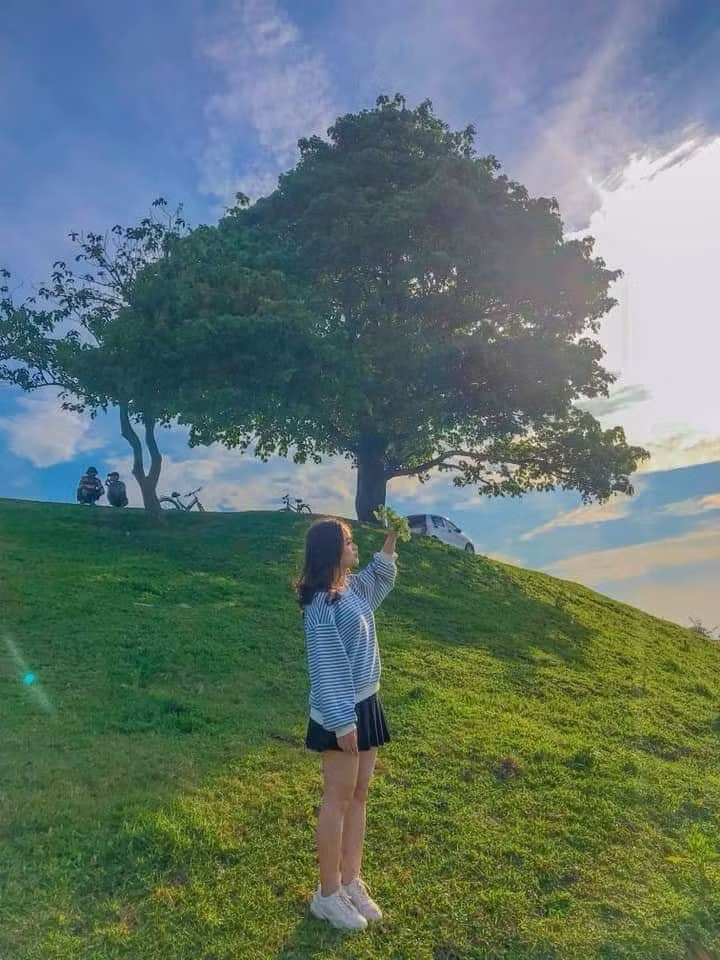 Cây Cô Đơn có tuổi đời hàng trăm năm và là một trong những cây cổ thụ lâu đời nhất tại Bắc Ninh đón rất nhiều những vị khách ghé thăm trong những ngày qua.