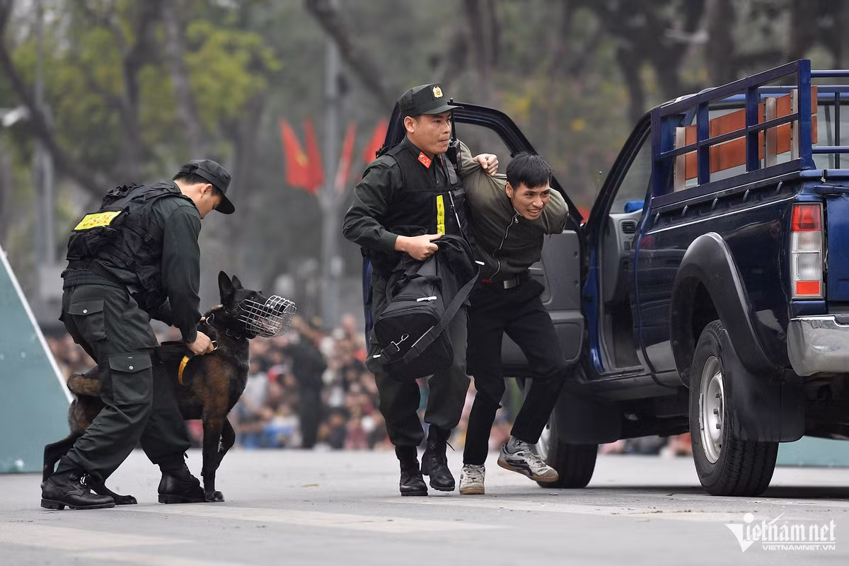 Buổi trình diễn còn có màn thể hiện tài năng của chó nghiệp vụ giả định tham gia tìm kiếm và truy bắt "tội phạm" buôn lậu qua cửa khẩu. Bằng mưu trí và tài năng của lực lượng cảnh sát, toàn bộ những kẻ mang ma túy qua khu vực kiểm soát đều bị tạm giữ và áp giải đưa về đồn.