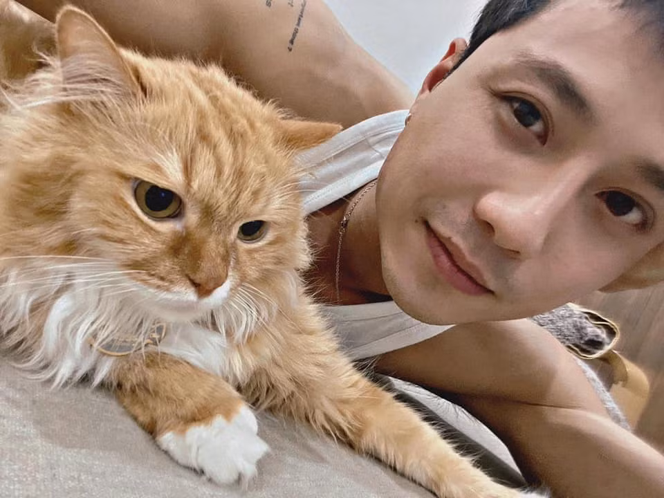Fan tinh ý nhận ra ngay đây là chú mèo nhà nam diễn viên.