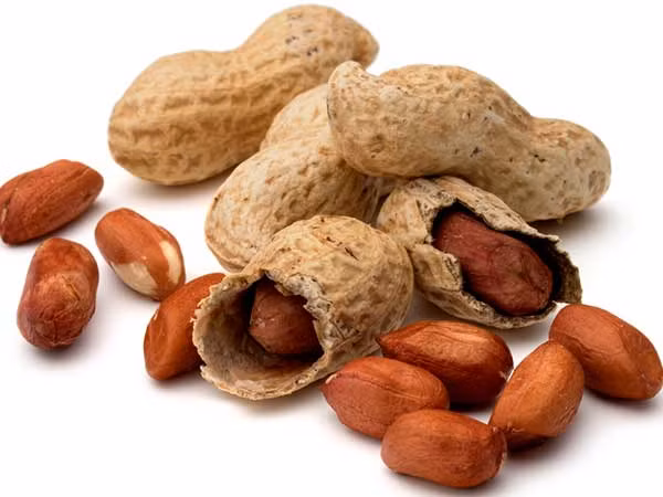 Để làm rõ giá trị sức khỏe của lạc, các nhà khoa học tiến hành phân tích thành phần của loại hạt này.