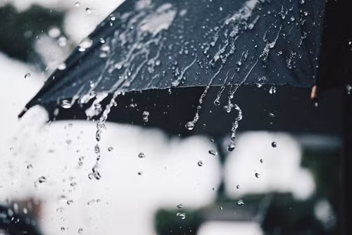 Độ ẩm không khí cao cũng khiến cơ thể buồn ngủ. Đặc biệt mùa hè, nước mưa khiến nhiệt độ mát mẻ, khiến bạn dễ ngủ, chất lượng giấc ngủ cũng cao hơn.