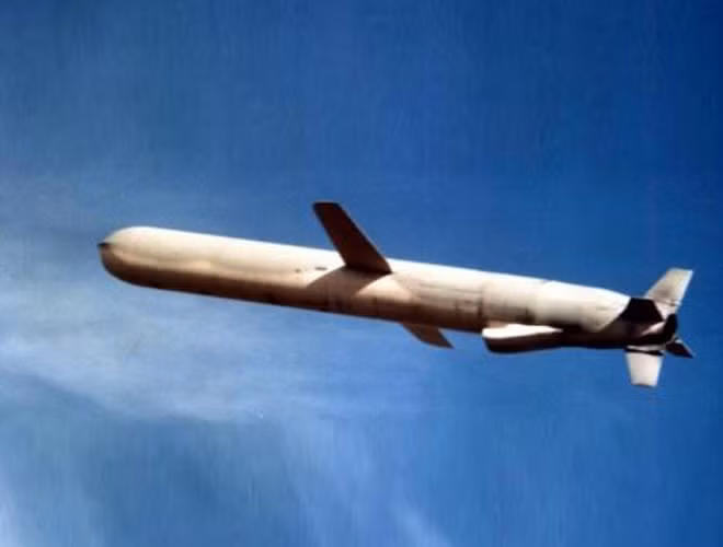Cặp cánh dài độc đáo giúp Tomahawk linh hoạt trong quá trình bay.