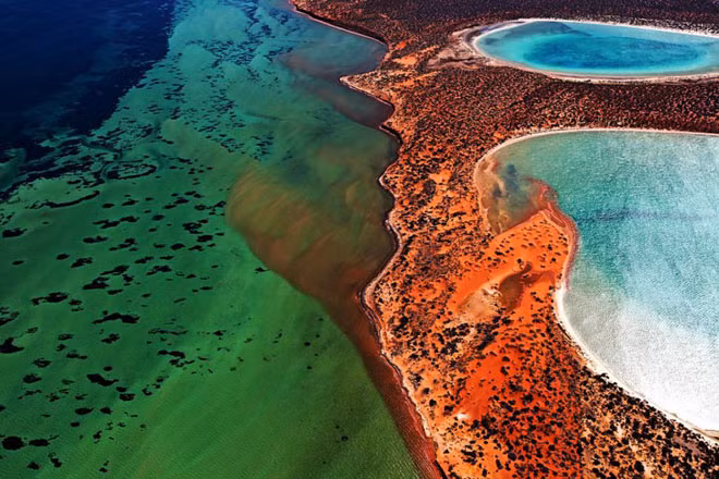  3. Vịnh Cá mập Cách thủ phủ Perth 800 km về phía tây của bờ biển nước Úc, Vịnh Cá mập với bờ biển đá vôi lượn sóng, những cồn cát trắng và những vách đá trải dài tới 1.500 km. Vịnh có nhiều bán đảo cạn và là nhà của 10.000 con bò biển, cá heo cùng nhiều loài bị đe doạ khác, với rừng cỏ biển đa dạng nhất thế giới.