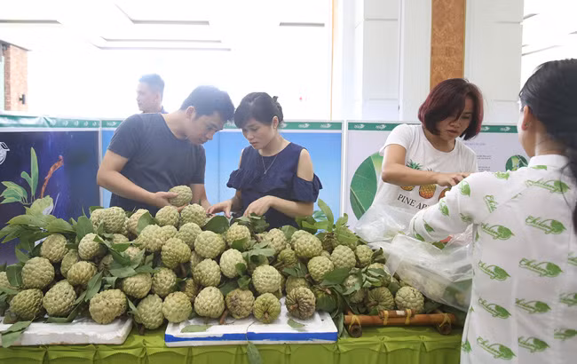 Người dân chọn lựa những trái na ở các gian hàng