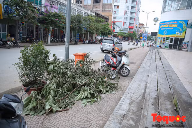 Bên ngoài tòa nhà một số loại rác thải chất đầy mà không có bất cứ một ai ra nhắc nhở và xử lý.