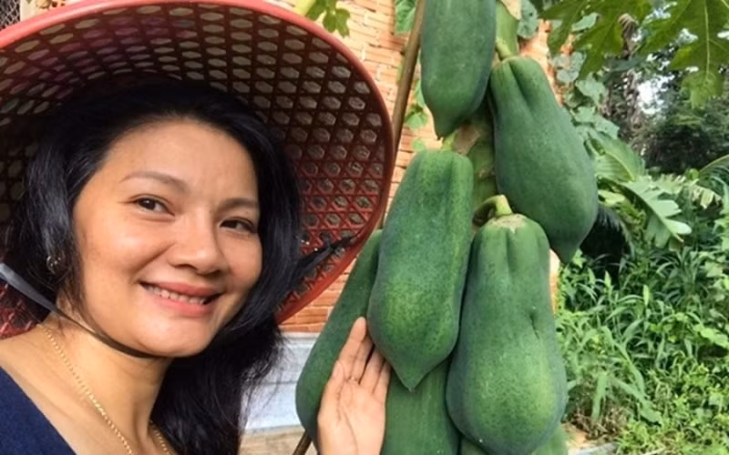 Ngôi nhà cấp 4 được dựng lên giữa vườn nhỏ nhắn nhưng xinh xắn và yên bình. Bên ngoài nữ nghệ sĩ trồng thêm cây ăn quả.