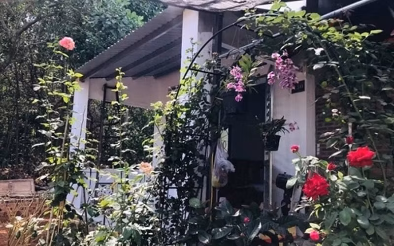 Ngoài căn nhà thuê hơn 20m2 trên Sài Gòn, mới đây cô tiết lộ thêm cơ ngơi khác của mình khiến nhiều người ngỡ ngàng. Được biết khu nhà vườn rộng 5.000m2 ở Bình Phước này là gia tài bố mẹ Kiều Trinh để lại.