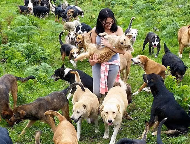 Mục tiêu của những tình nguyện viên là biến Territorio de Zaguates thành nơi mà những chú chó lai có thể sống và được tôn trọng. Ngoài ra, tổ chức còn tìm kiếm chủ nhân cho chúng. Việc nỗ lực "chạy" chiến dịch truyền thồng đã giúp tỷ lệ chó được nhận nuôi tăng lên đáng kể